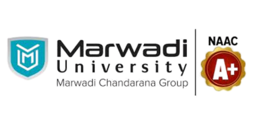 Marwadi University